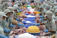 EU sacrifies human rights for Vietnam free trade