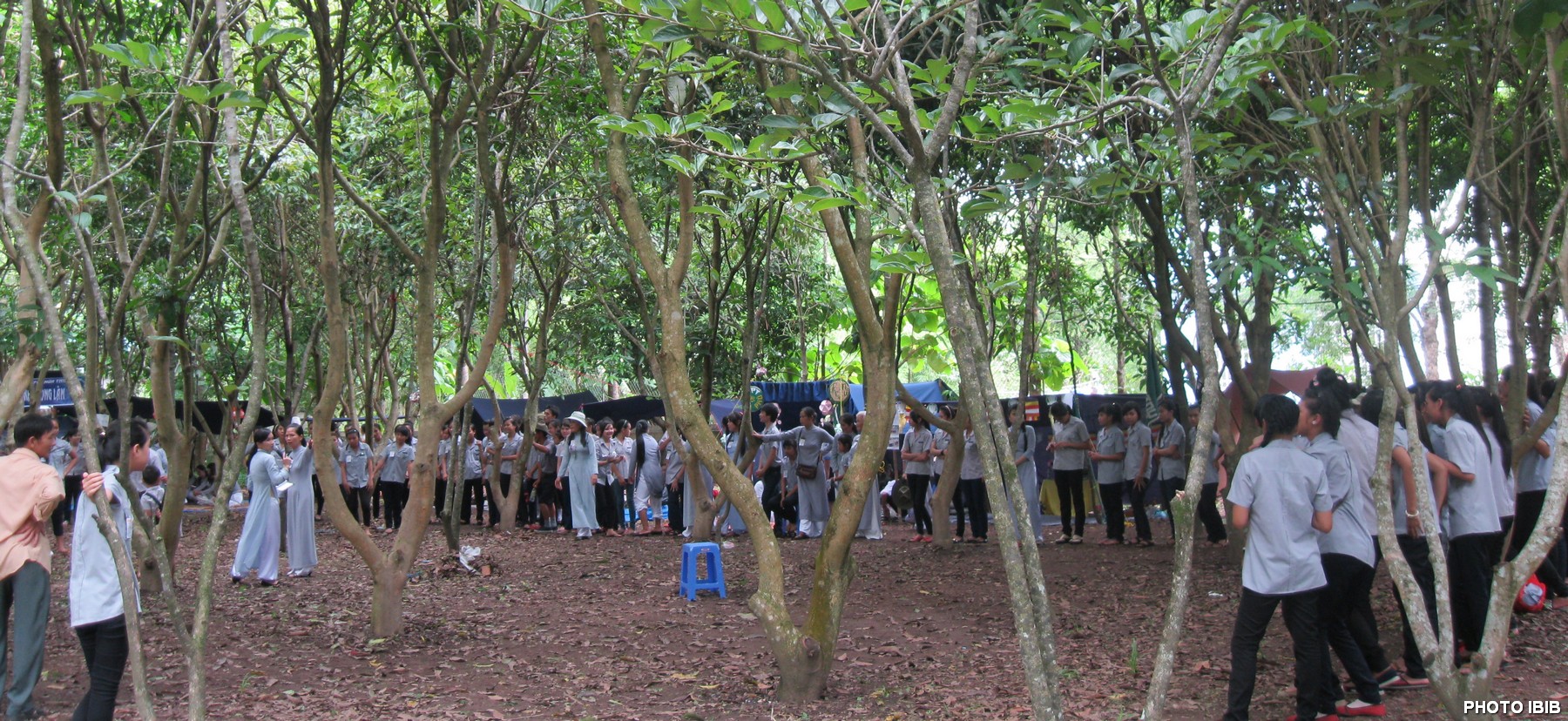 Trại sinh trong rừng chủa Bảo Quang - Hình PTTPGQT